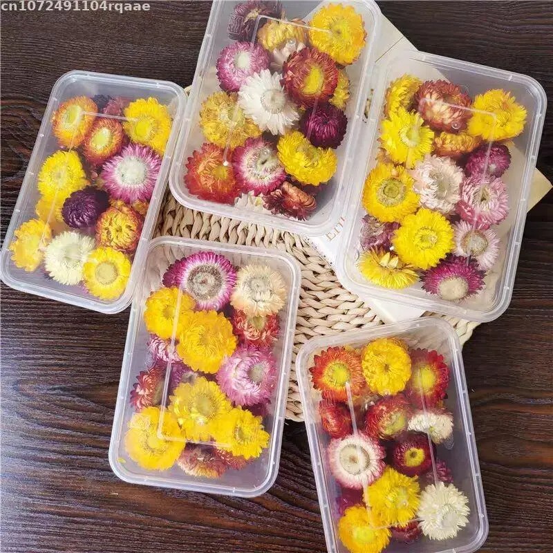 Fiori Secchi 100% Naturali Bra - Candle Making Material Wholesale recensione e prezzo